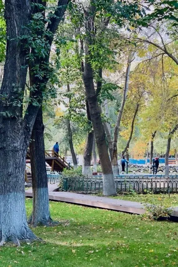 篮球训练简历怎么写_1